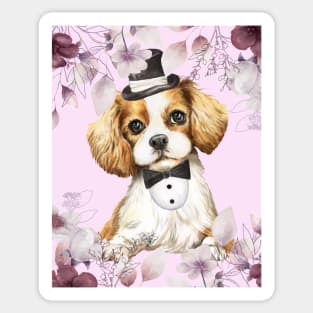 Cavalier King Charles Spaniel wears a suit Sticker